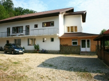 Casa Stefanita - alloggio in  Nord Oltenia (17)