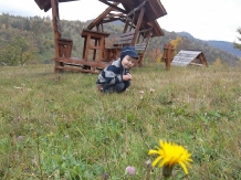 Casele de vacanta Luca si Vicentiu - cazare Tara Maramuresului (12)
