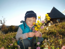 Casele de vacanta Luca si Vicentiu - alloggio in  Tara Maramuresului (13)