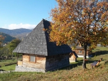 Casele de vacanta Luca si Vicentiu - alloggio in  Tara Maramuresului (54)