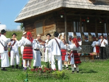 Casele de vacanta Luca si Vicentiu - accommodation in  Maramures Country (64)