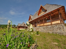 Casele de vacanta Luca si Vicentiu - accommodation in  Maramures Country (69)