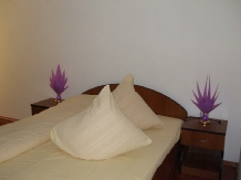 Pensiunea Iuliana - accommodation in  Fagaras and nearby, Transfagarasan (02)