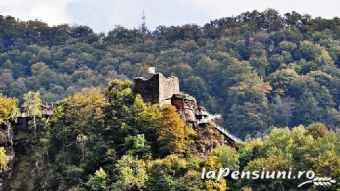 Pensiunea Iuliana - cazare Fagaras, Transfagarasan (Activitati si imprejurimi)