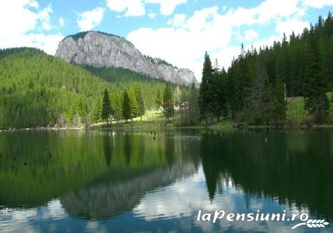 Pensiunea Biro - accommodation in  Harghita Covasna (Surrounding)