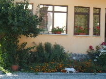 Casa Maria Moeciu - accommodation in  Rucar - Bran, Moeciu (15)