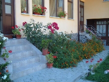 Casa Maria Moeciu - accommodation in  Rucar - Bran, Moeciu (16)