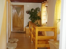 Casa Maria Moeciu - accommodation in  Rucar - Bran, Moeciu (28)