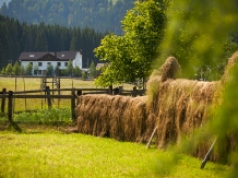 Pensiunea Roua de Munte - alloggio in  Bistrita (01)