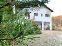 Pensiunea Roua de Munte - alloggio in  Bistrita (11)