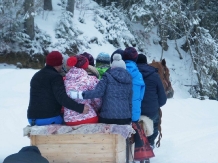 Pensiunea Roua de Munte - alloggio in  Bistrita (22)