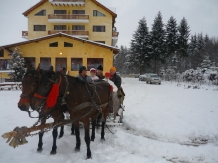 Pensiunea Miruna - cazare Fagaras, Sambata (37)