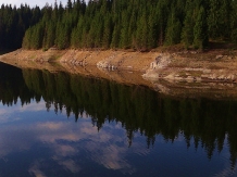 Pensiunea Smida Park - alloggio in  Apuseni, Belis (21)