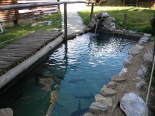 Pensiunea Smida Park - accommodation in  Apuseni Mountains, Belis (24)