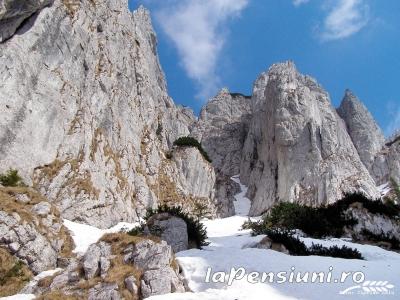 Pensiunea Cetatea Carului - accommodation in  Rucar - Bran, Moeciu (Surrounding)