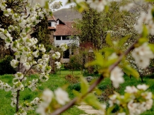 Rural accommodation at  Vila Castelul Maria