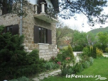 Vila Castelul Maria - cazare Apuseni, Tara Hategului (17)