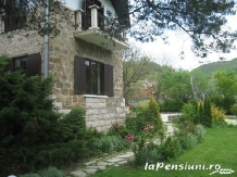 Vila Castelul Maria - accommodation in  Apuseni Mountains, Hateg Country (19)