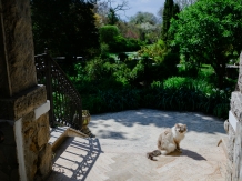 Vila Castelul Maria - accommodation in  Apuseni Mountains, Hateg Country (43)
