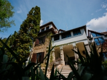 Vila Castelul Maria - accommodation in  Apuseni Mountains, Hateg Country (45)