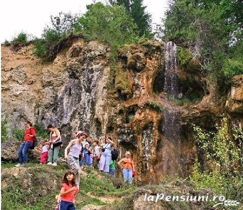 Pensiunea Craiul - cazare Arieseni (Activitati si imprejurimi) Pensiunea Craiul - cazare Arieseni (Activitati si imprejurimi)