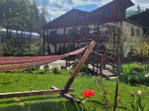 Pensiunea Danciu - accommodation in  Apuseni Mountains, Motilor Country, Arieseni (15)