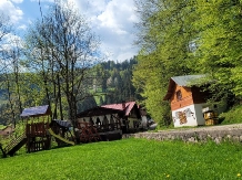 Pensiunea Danciu - accommodation in  Apuseni Mountains, Motilor Country, Arieseni (20)