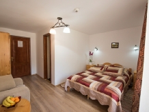 Pensiunea Danciu - accommodation in  Apuseni Mountains, Motilor Country, Arieseni (23)