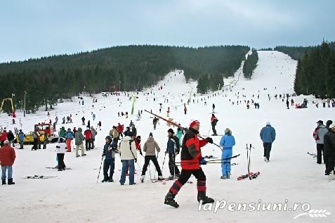 Pensiunea Vraja Muntelui - accommodation in  Apuseni Mountains, Motilor Country, Arieseni (Surrounding)