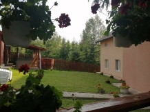 Pensiunea Anda - accommodation in  Apuseni Mountains, Belis (10)