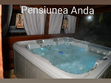 Pensiunea Anda - accommodation in  Apuseni Mountains, Belis (17)