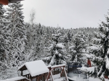 Pensiunea Anda - accommodation in  Apuseni Mountains, Belis (34)