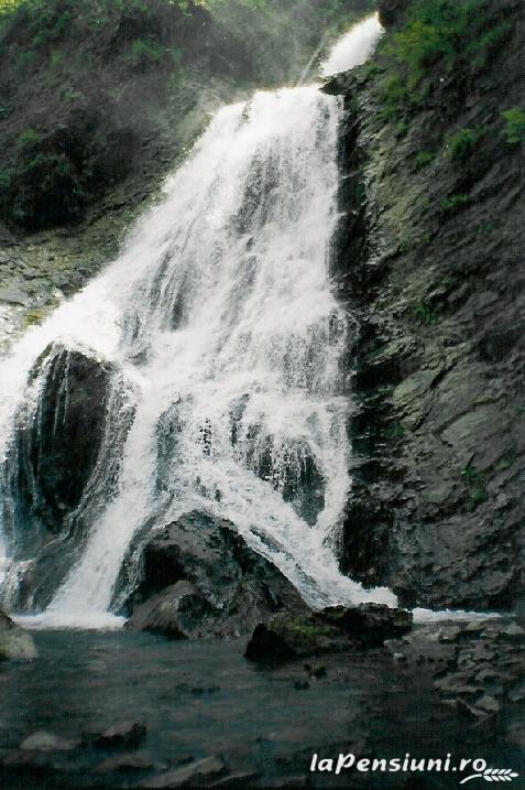 Pensiunea Anda - alloggio in  Apuseni, Belis (Attivit&agrave; e i dintorni)