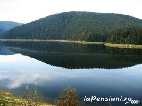 Pensiunea Anda - alloggio in  Apuseni, Belis (Attivit&agrave; e i dintorni)