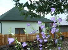 Casa La Pescarie - accommodation in  Apuseni Mountains, Belis (19)