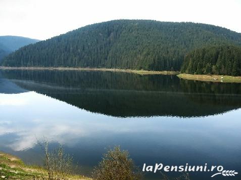 Casa La Pescarie - accommodation in  Apuseni Mountains, Belis (Surrounding)