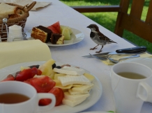 Pensiunea Natura - cazare Fagaras (16)