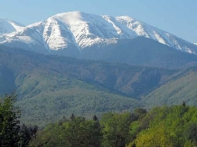 Pensiunea Natura - cazare Fagaras (17)