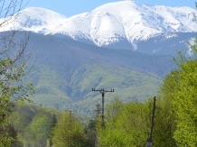 Pensiunea Natura - cazare Fagaras (51)