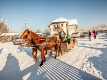 Pensiunea Natura - accommodation in  Fagaras and nearby (56)