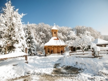 Pensiunea Natura - accommodation in  Fagaras and nearby (58)