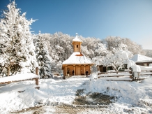 Pensiunea Natura - alloggio in  Fagaras e vicinanze (58)