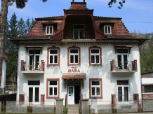 Vila Maria - accommodation in  Sovata - Praid (01)