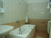 Vila Maria - accommodation in  Sovata - Praid (08)