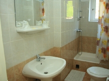 Vila Maria - accommodation in  Sovata - Praid (10)