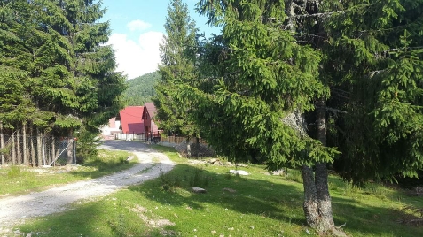 Cabana Izvorul Ariesului - cazare Apuseni, Tara Motilor, Arieseni (Activitati si imprejurimi) Cabana Izvorul Ariesului - cazare Apuseni, Tara Motilor, Arieseni (Activitati si imprejurimi)
