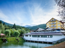 Pensiunea Poiana Izvorului - accommodation in  Fagaras and nearby, Sambata (01)