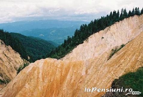 Pensiunea Ady - alloggio in  Apuseni, Tara Motilor, Arieseni (Attivit&agrave; e i dintorni)