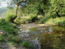 Casa Georgescu - accommodation in  Rucar - Bran, Rasnov (32)