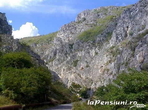 Casa Georgescu - accommodation in  Rucar - Bran, Rasnov (Surrounding)